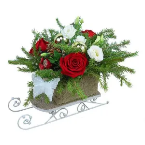 Снежное вино