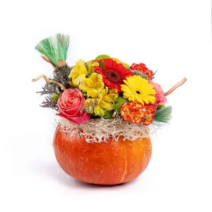 Настроение осень